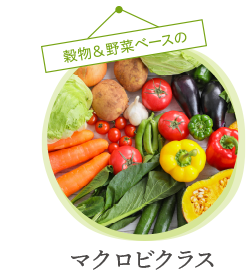 パーソナルレッスン